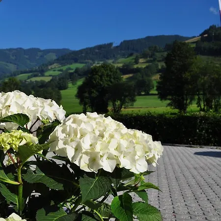 Haus 피센도르프